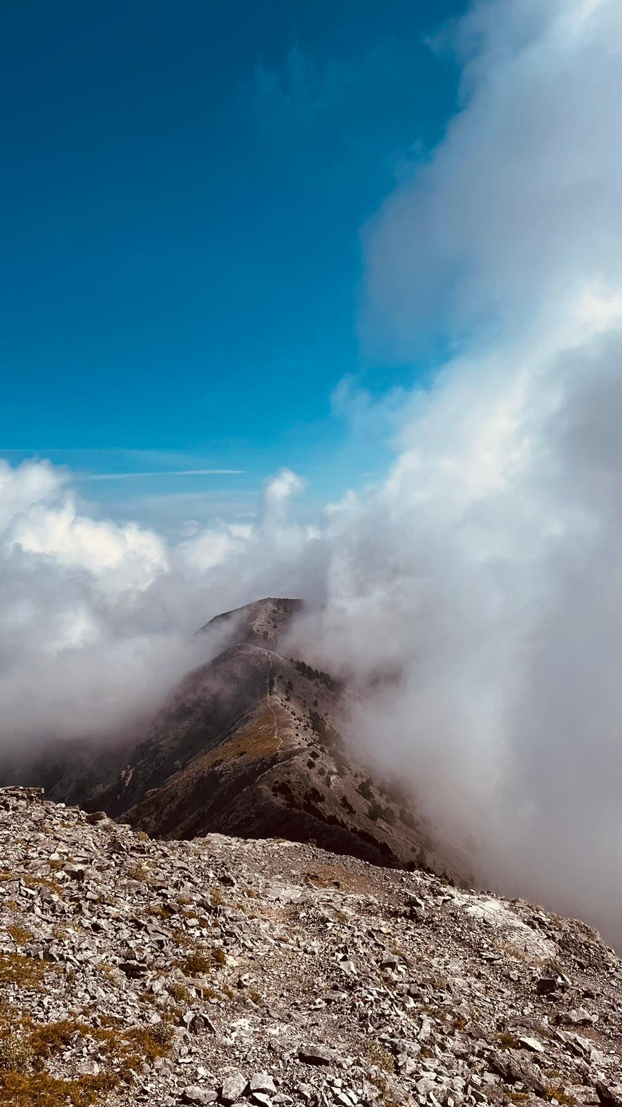 806ea305-c39f-47c6-96c2-7eef9e640e22